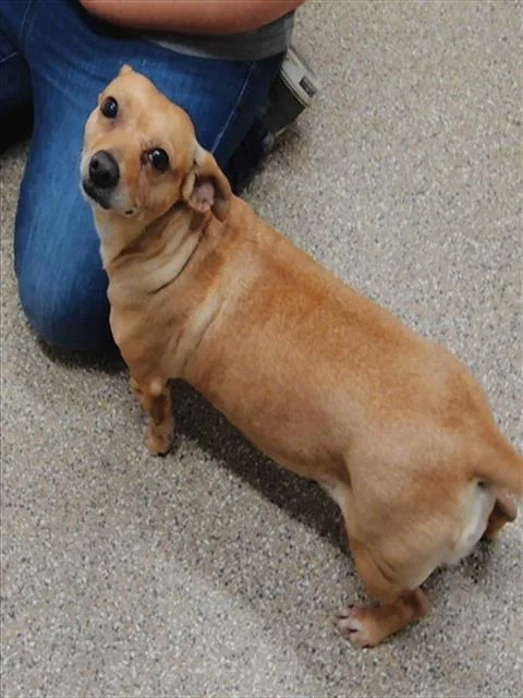 Ethel