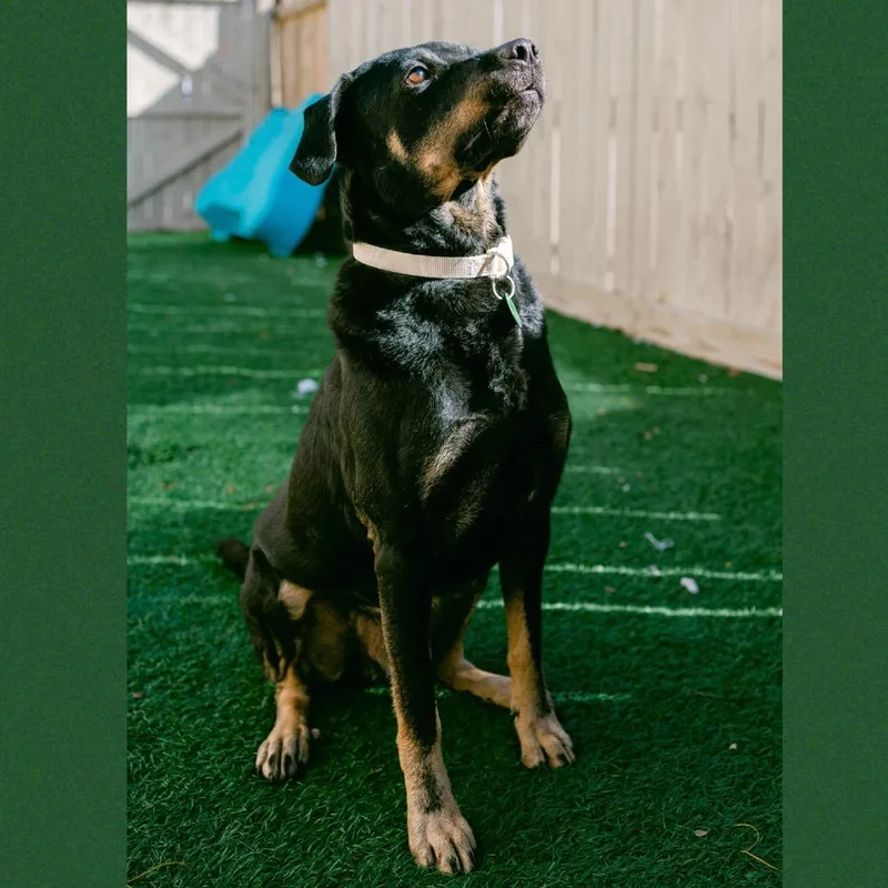 Charlie Parker thumbnail 2