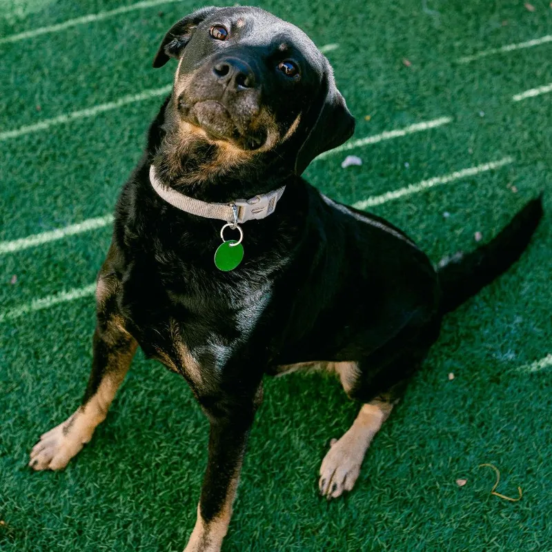 Charlie Parker thumbnail 3