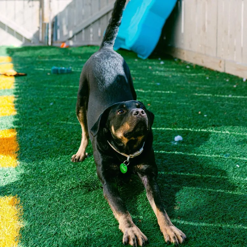 Charlie Parker thumbnail 4