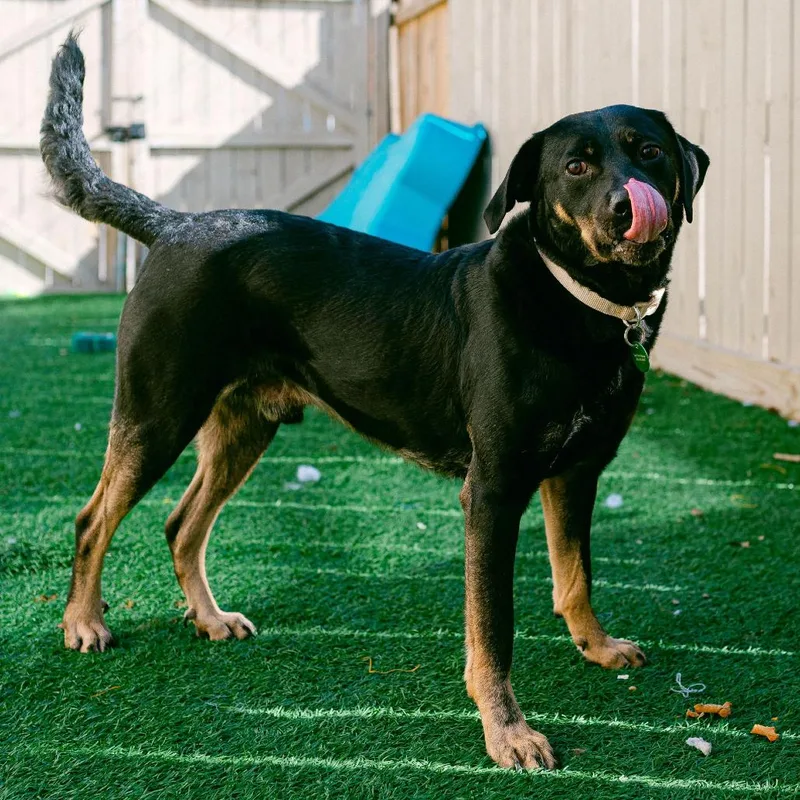 Charlie Parker thumbnail 5