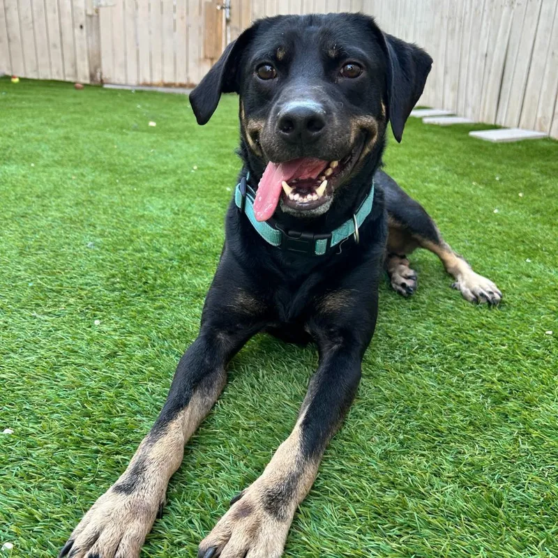 Charlie Parker thumbnail 6