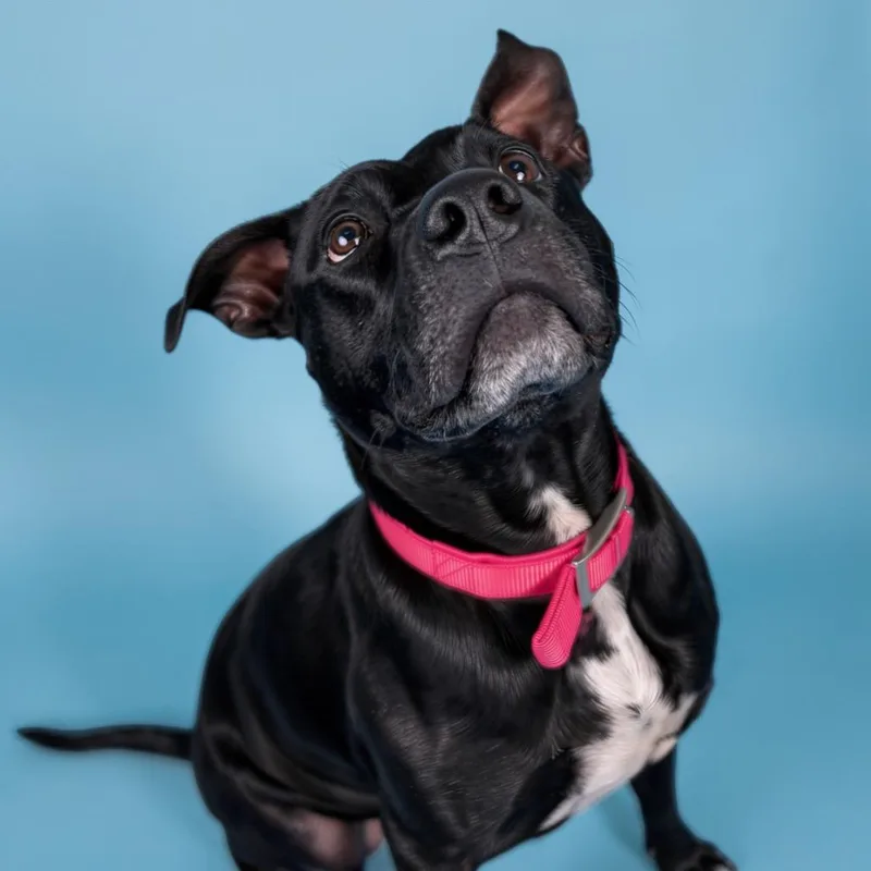 Miss Peaches thumbnail 2