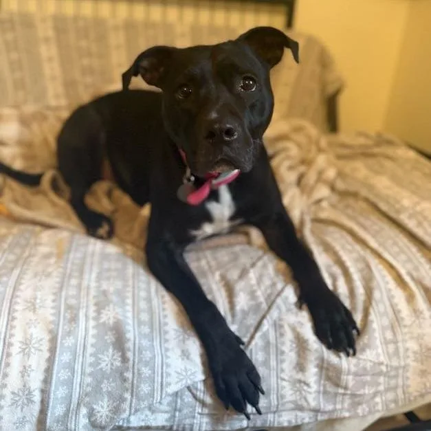 Miss Peaches thumbnail 3