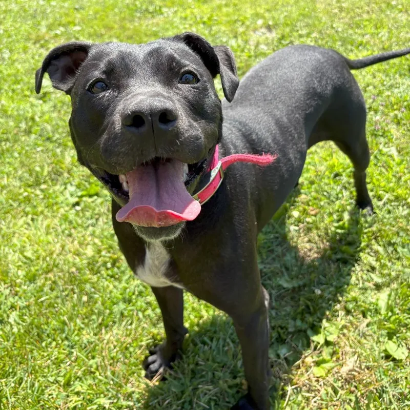 Miss Peaches thumbnail 4