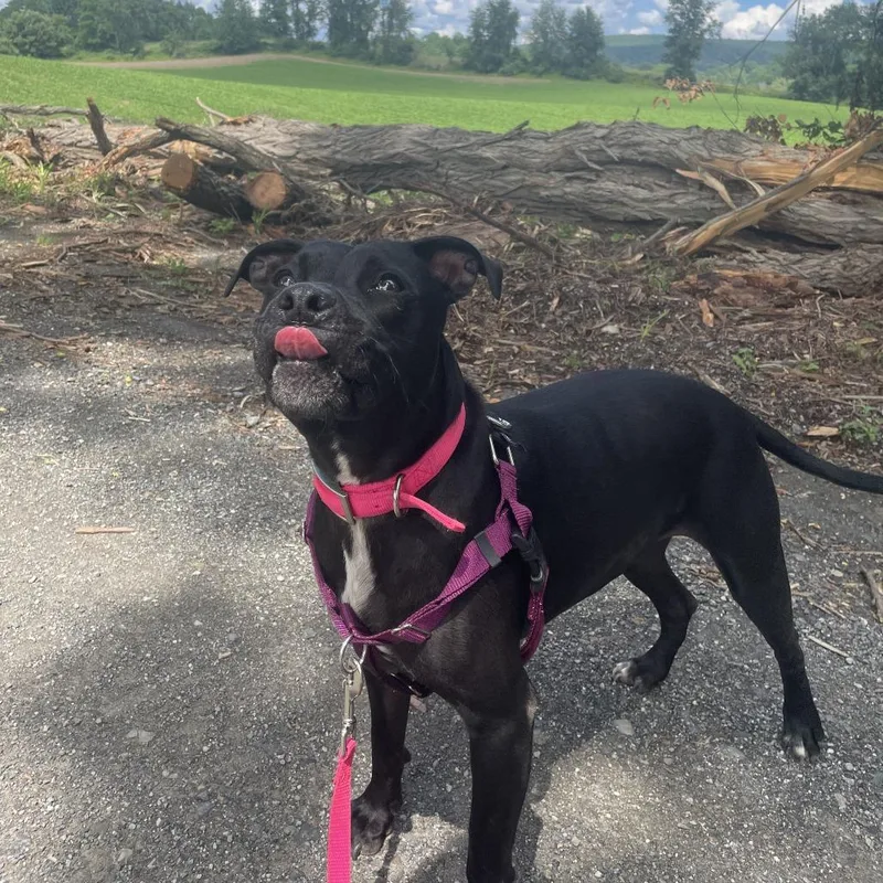 Miss Peaches thumbnail 5