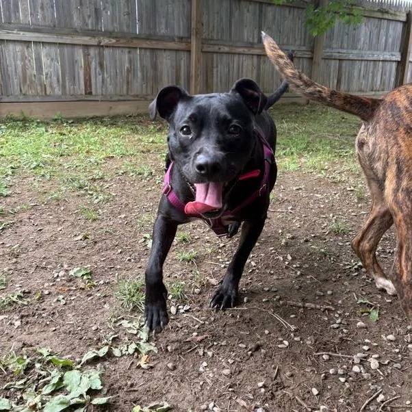 Miss Peaches thumbnail 6