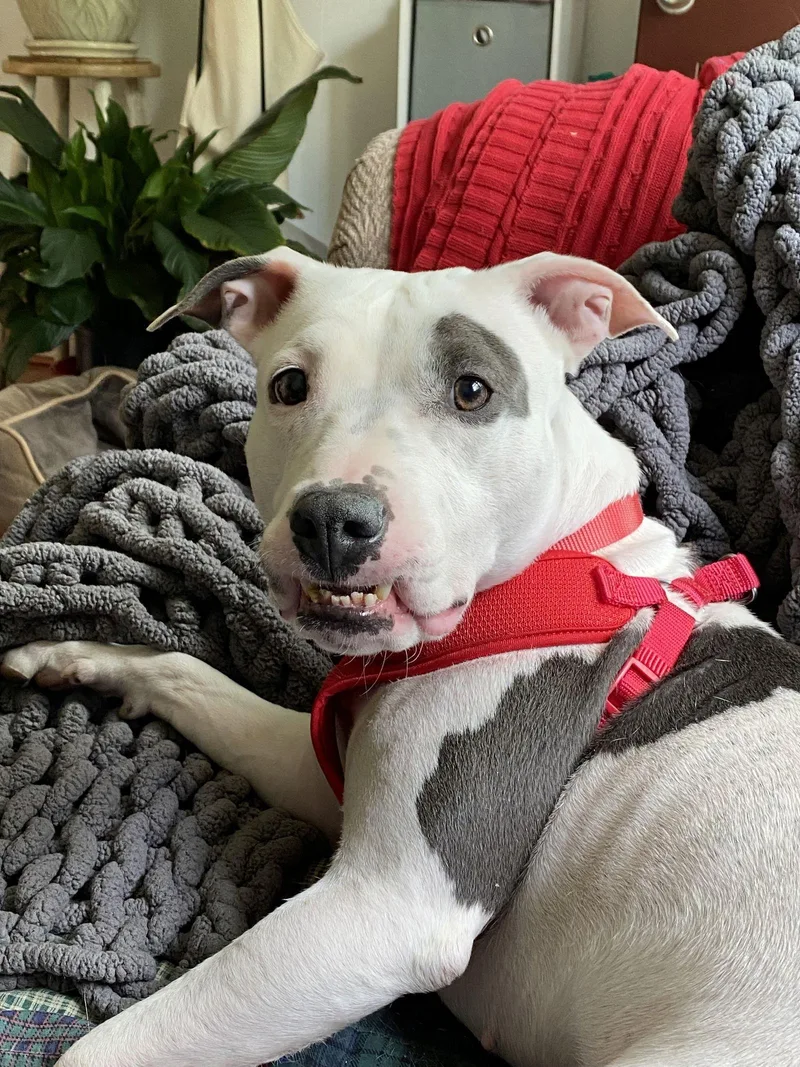 Princess Baby thumbnail 2