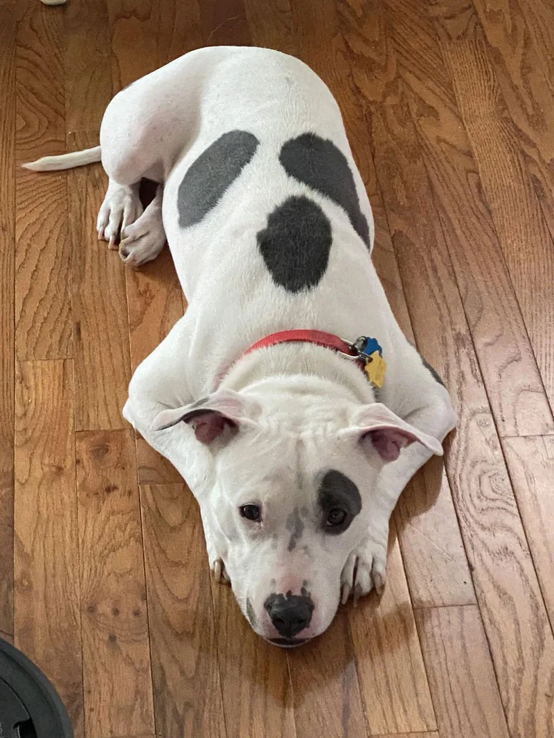 Princess Baby thumbnail 3