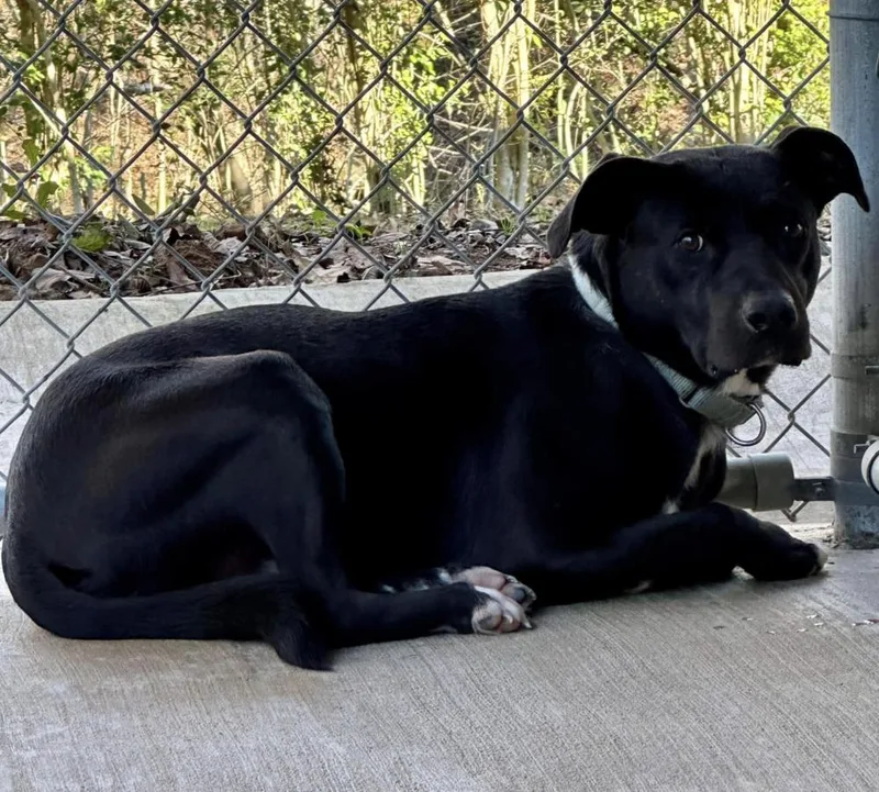 River Run thumbnail 3