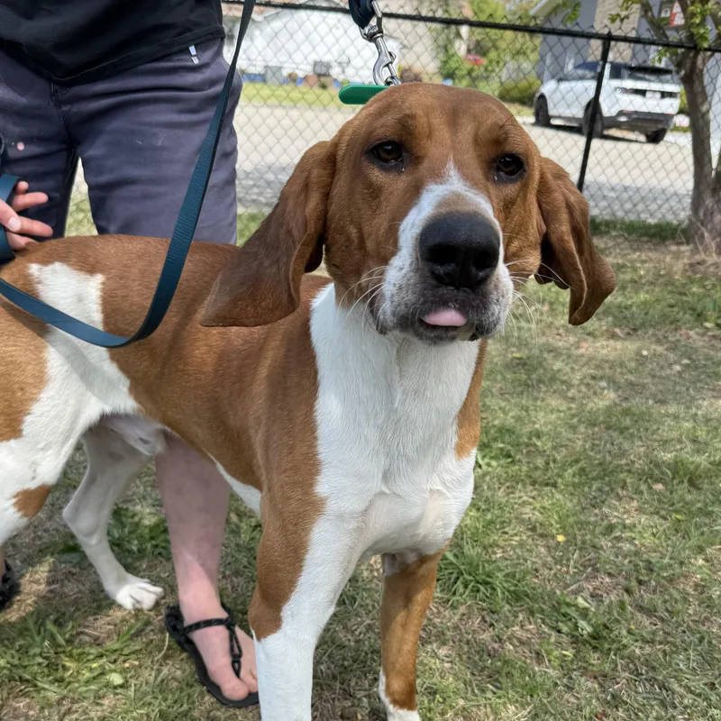 Concrete thumbnail 2