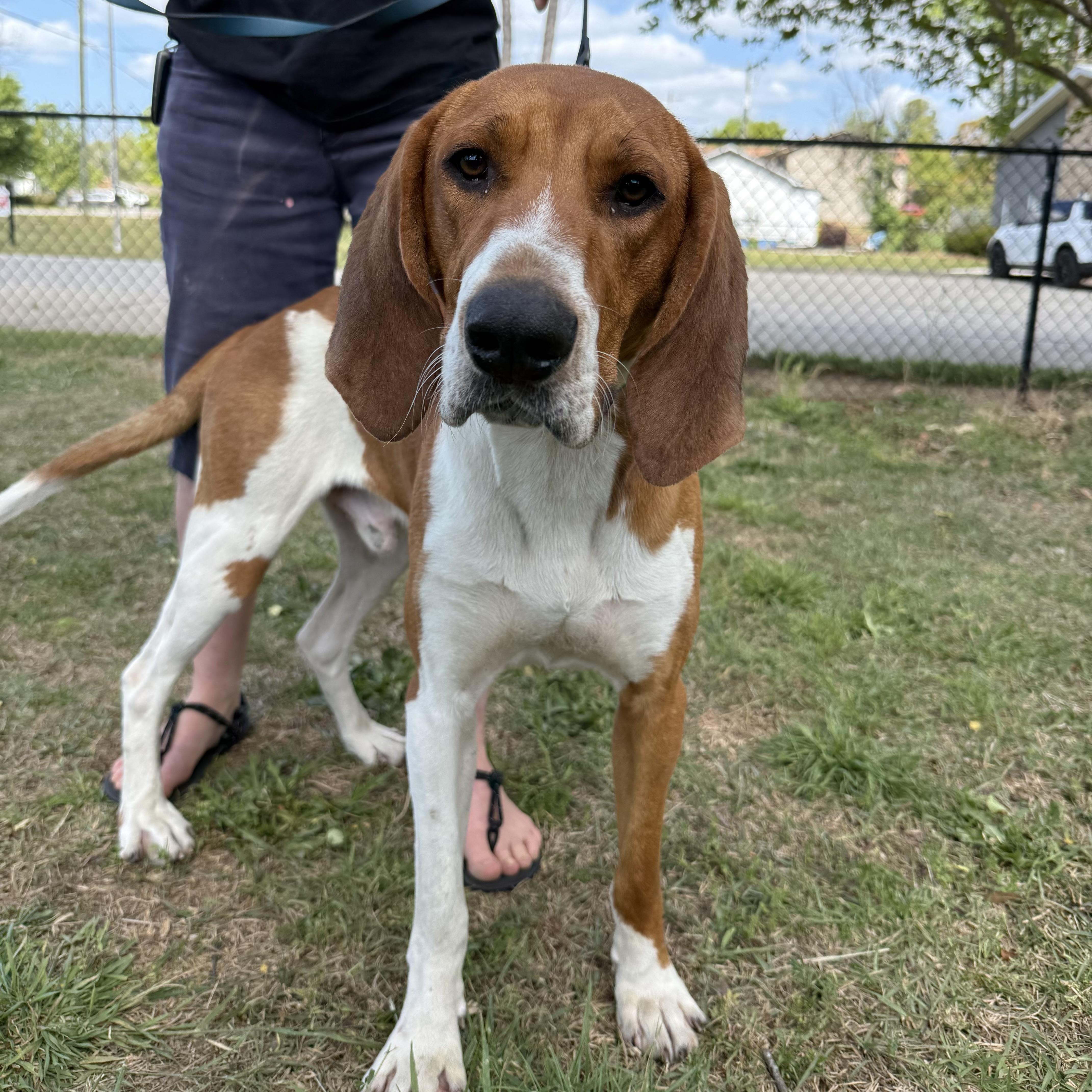 Concrete thumbnail 3