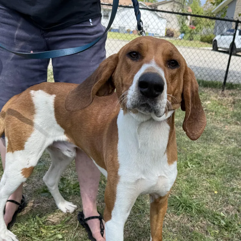 Concrete thumbnail 4