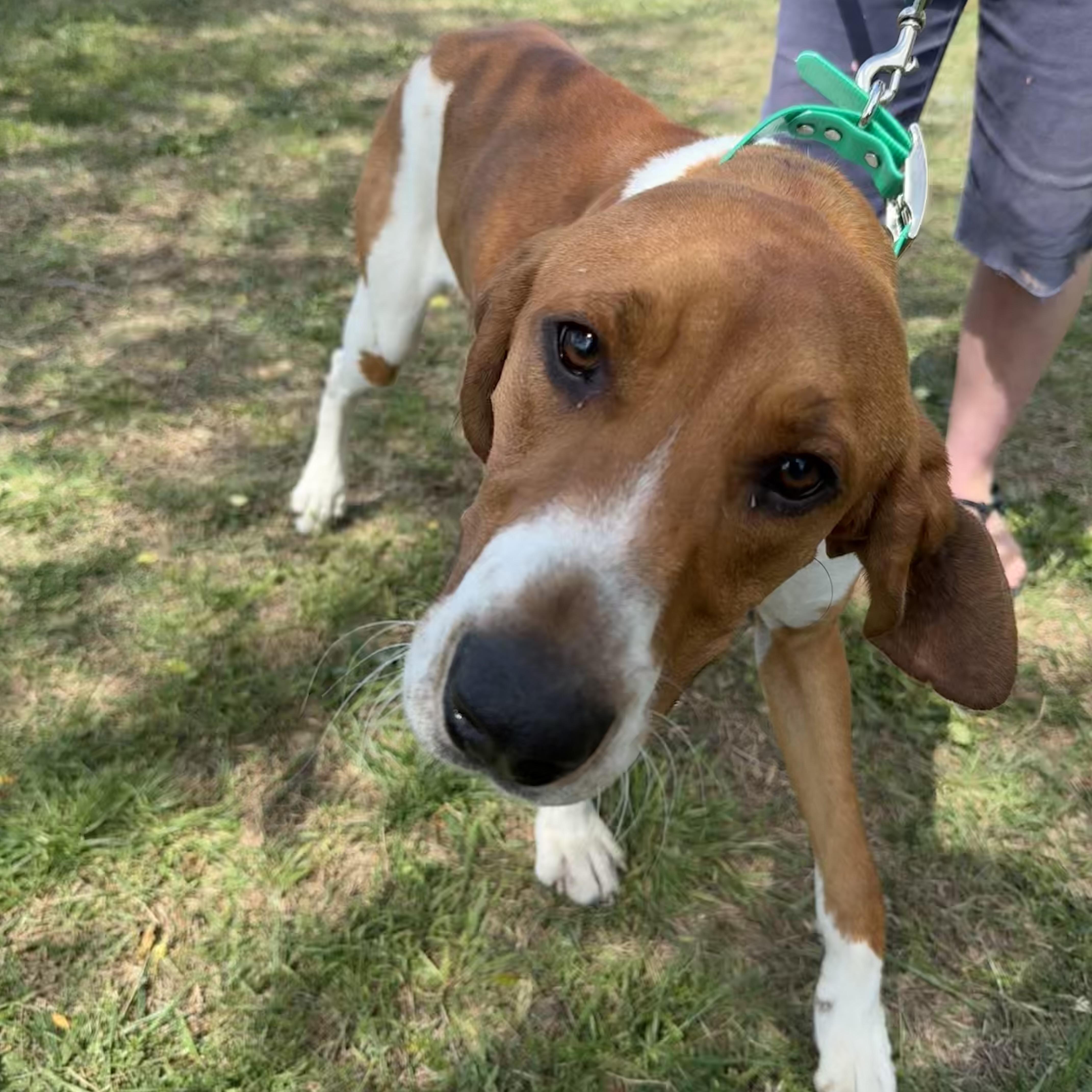 Concrete thumbnail 5