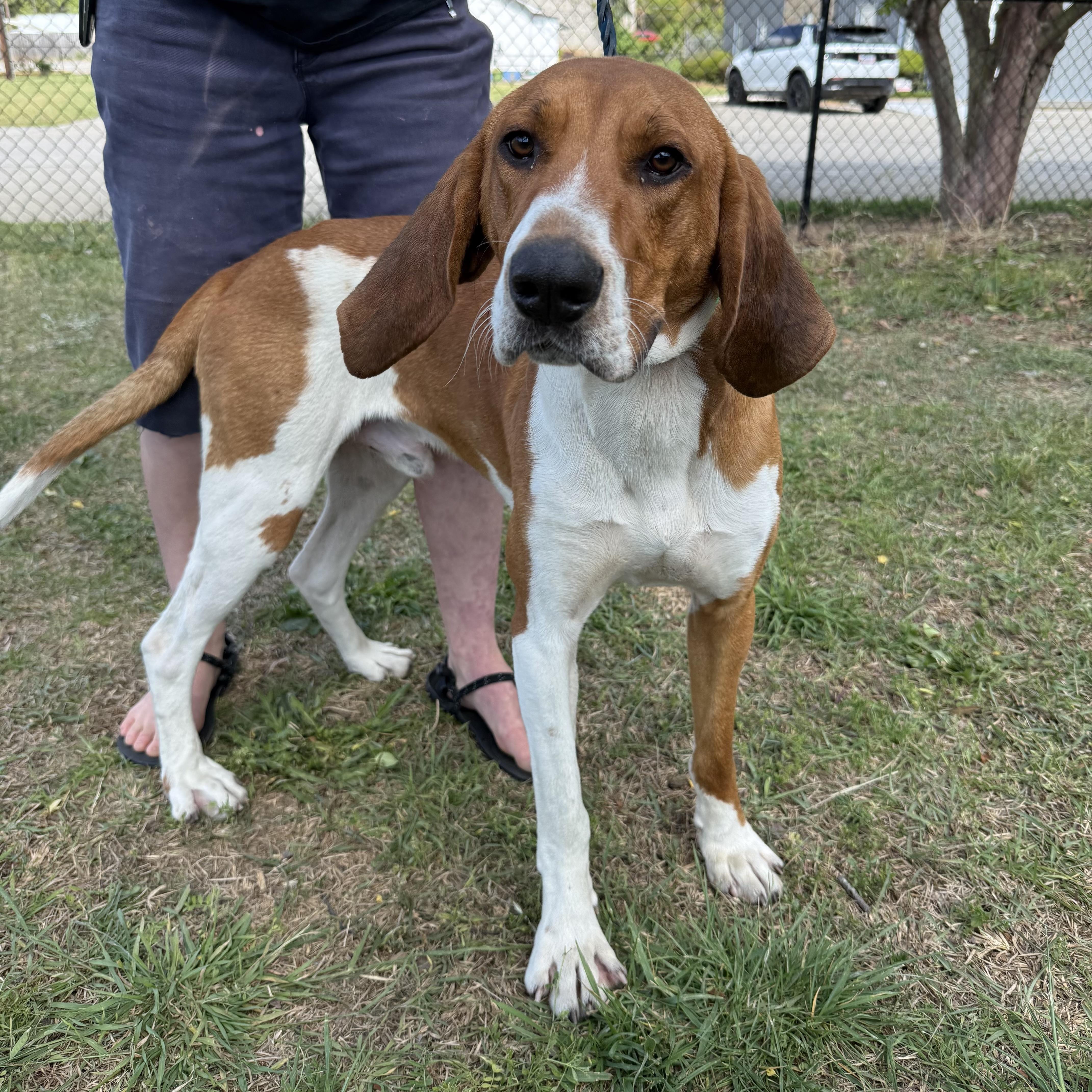 Concrete thumbnail 6