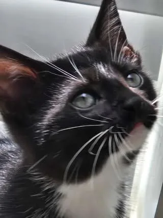 Maggie thumbnail 2