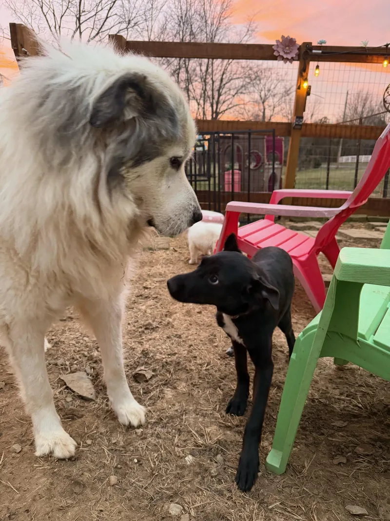 Twilight thumbnail 2