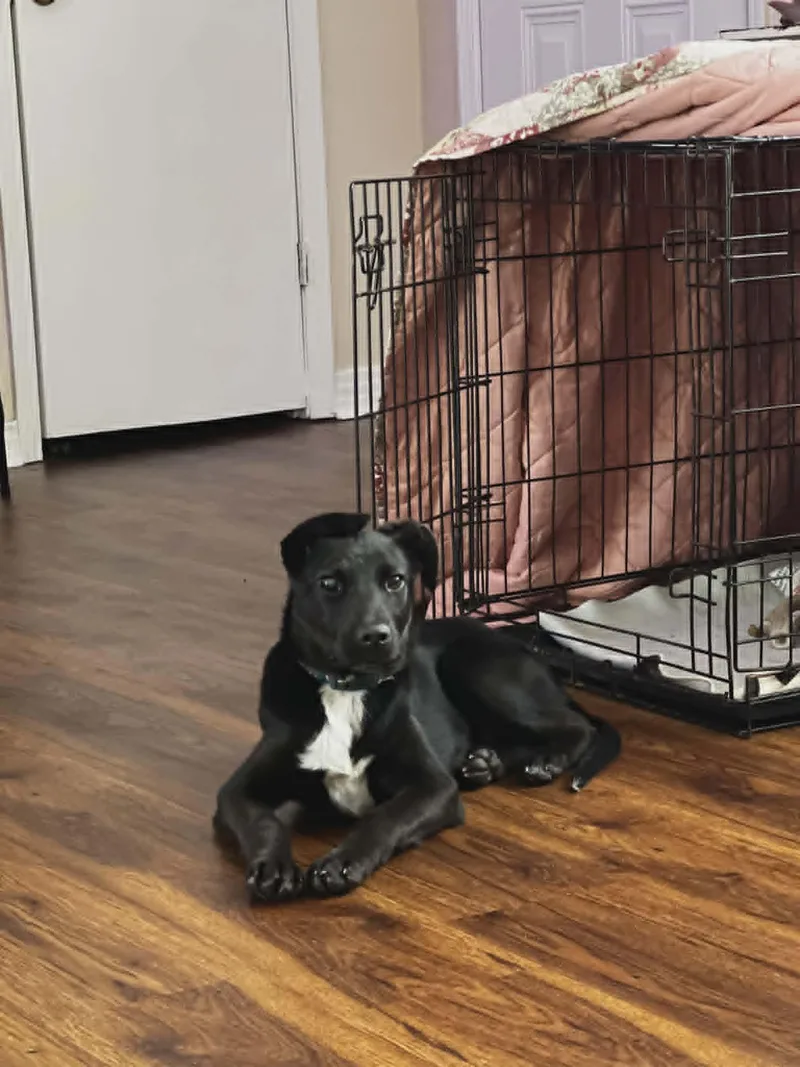 Twilight thumbnail 3