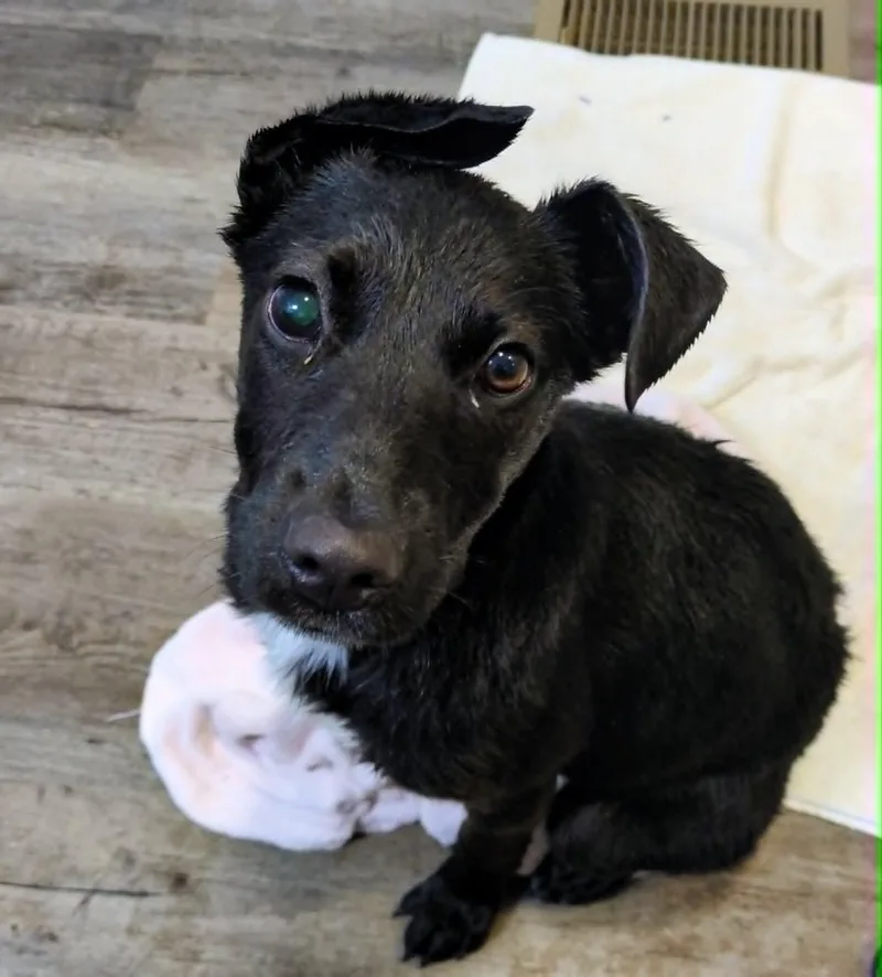 Twilight thumbnail 5