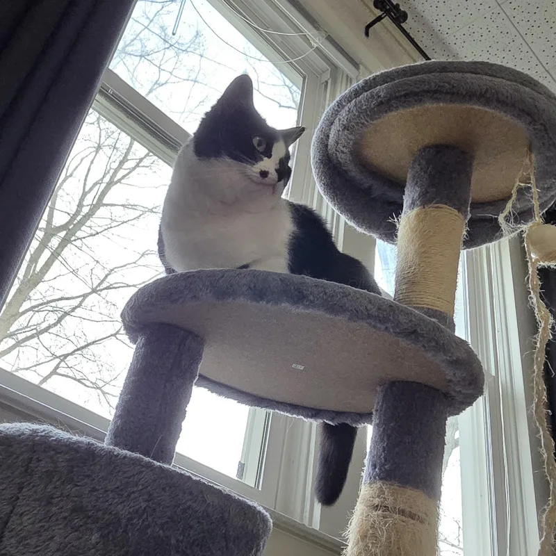 Kibbles & Bits thumbnail 5