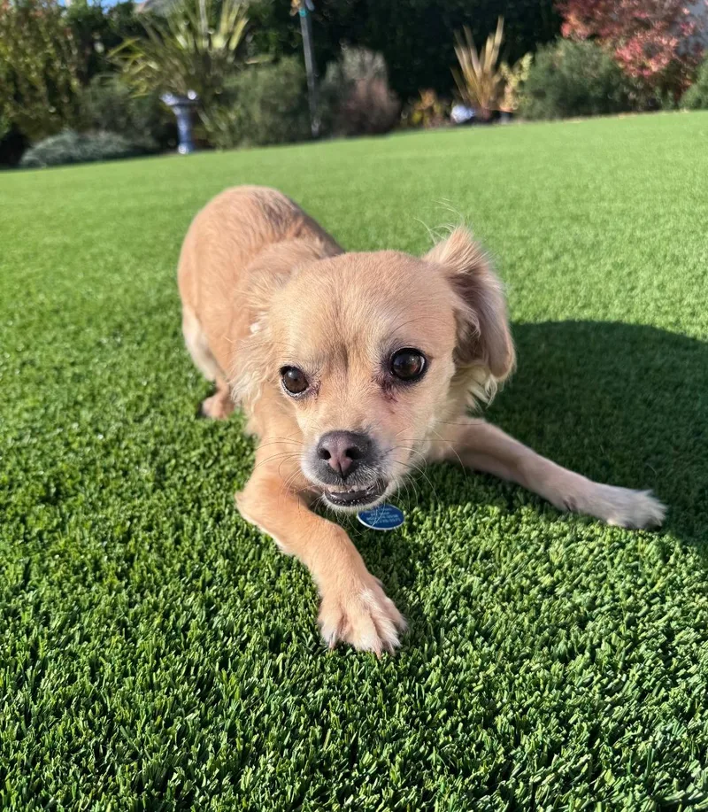 Rico Suave thumbnail 2