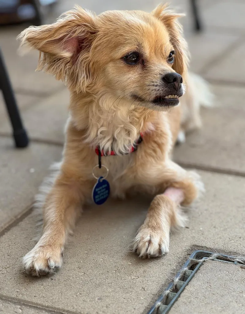 Rico Suave thumbnail 5