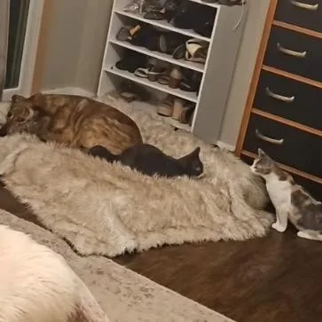 Jerry And Chrissie Are thumbnail 2