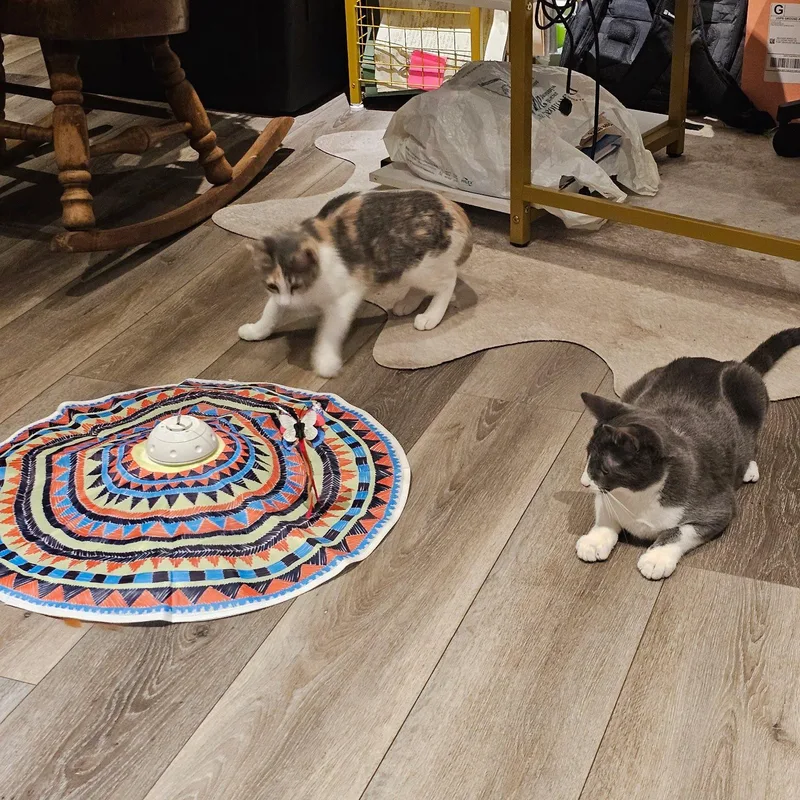 Jerry And Chrissie Are thumbnail 3