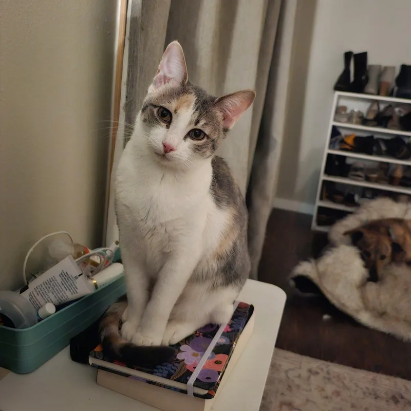 Jerry And Chrissie Are thumbnail 4