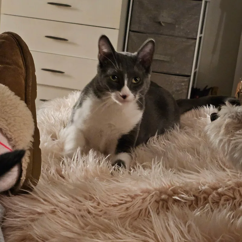 Jerry And Chrissie Are thumbnail 5