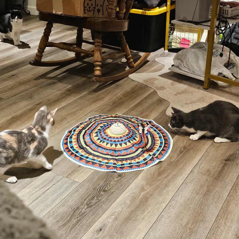 Jerry And Chrissie Are thumbnail 6