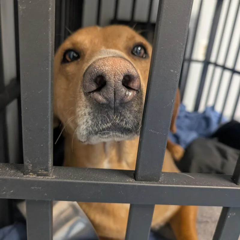 Sketch L thumbnail 2