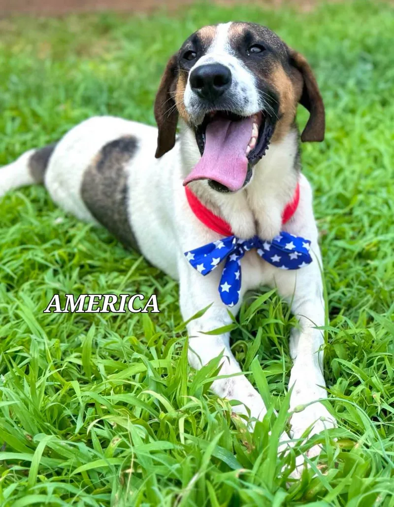 America