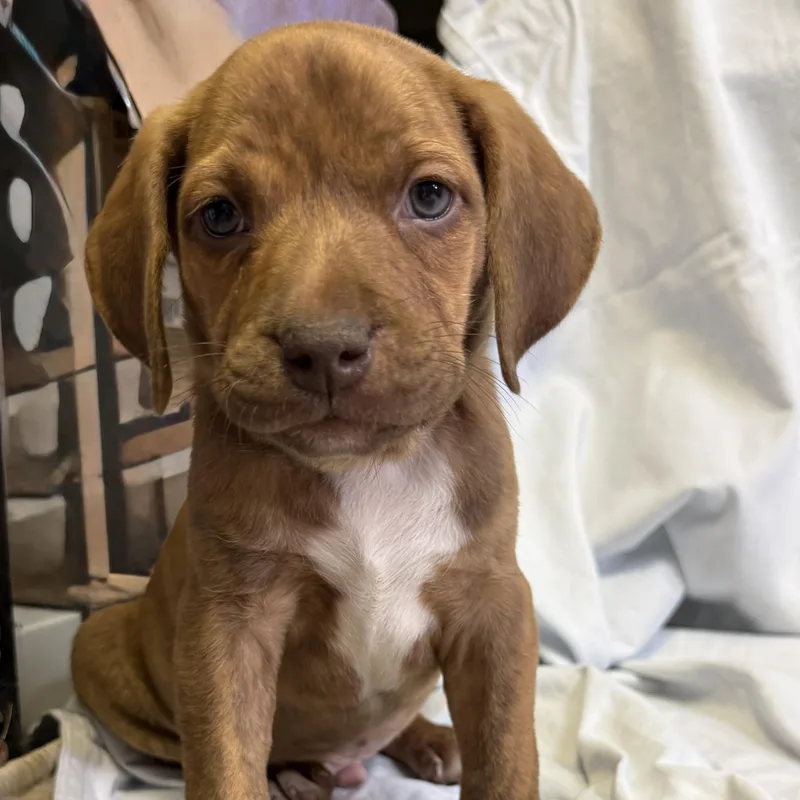 Nolan  River  thumbnail 2