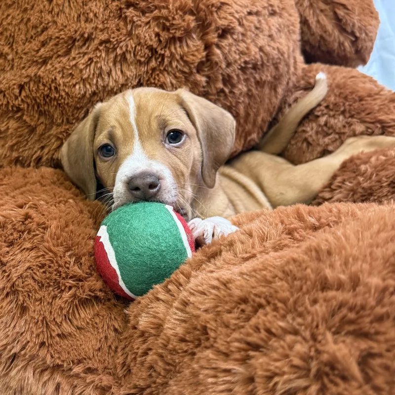 Nolan  River  thumbnail 3