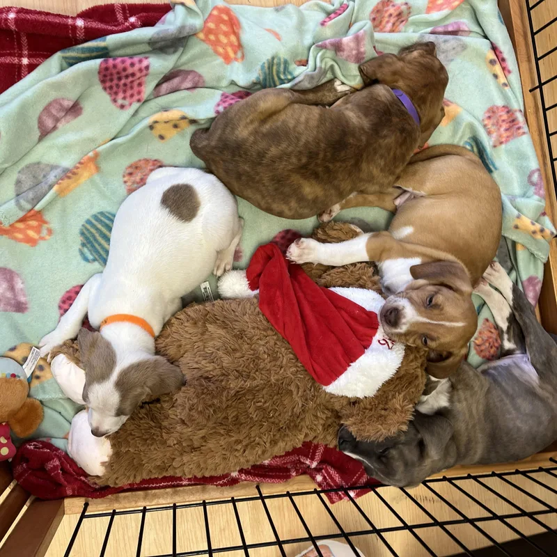 Nolan  River  thumbnail 4