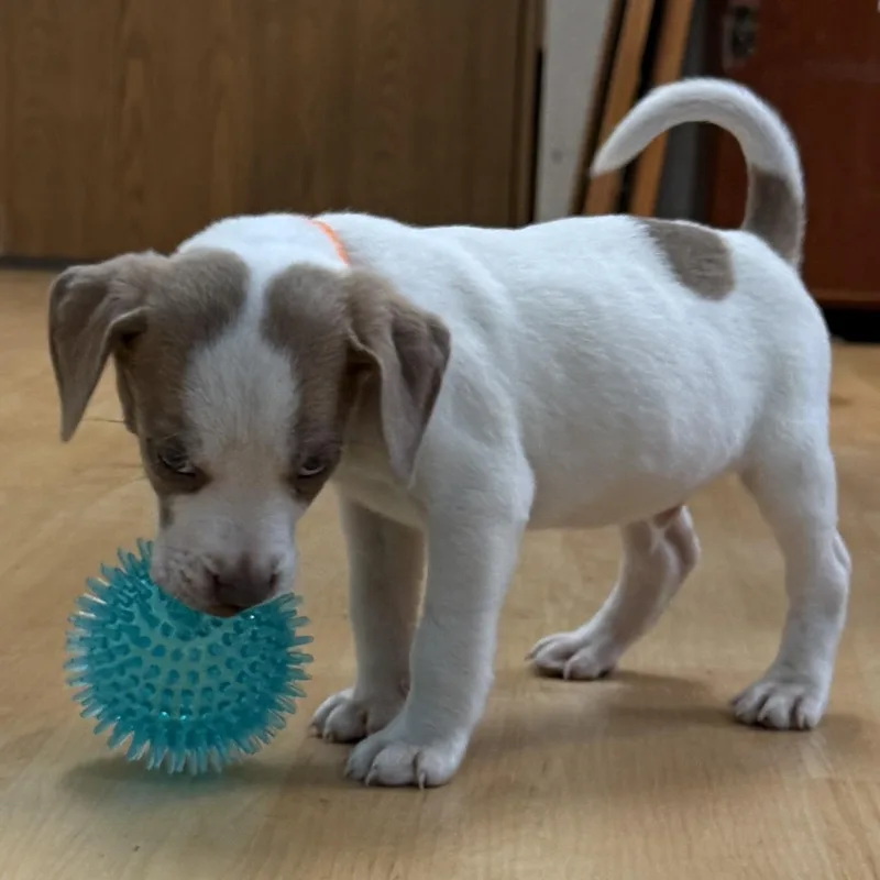 Nolan  River  thumbnail 5