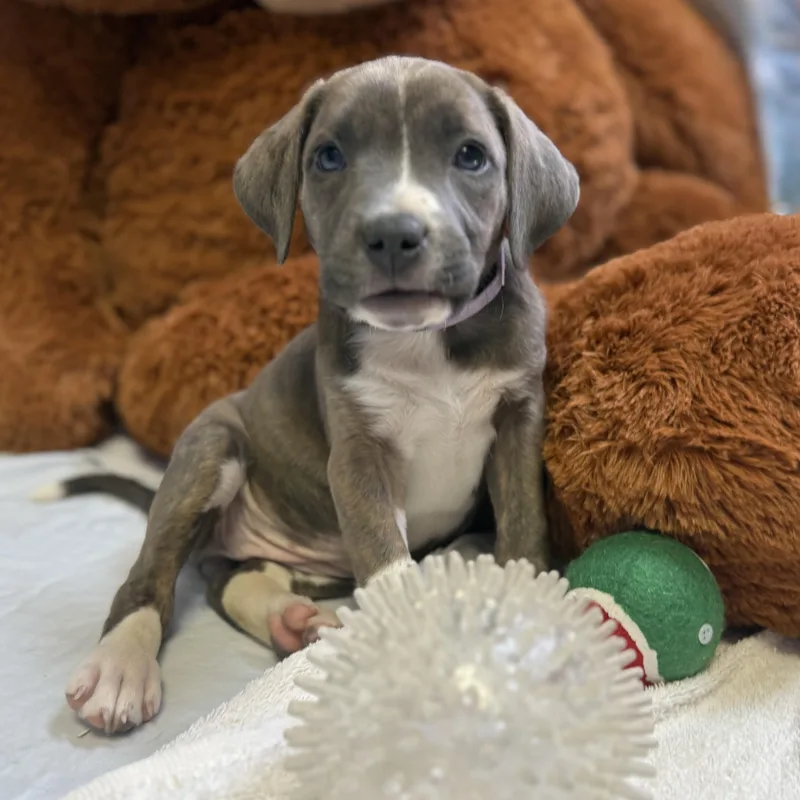 Nolan  River  thumbnail 6