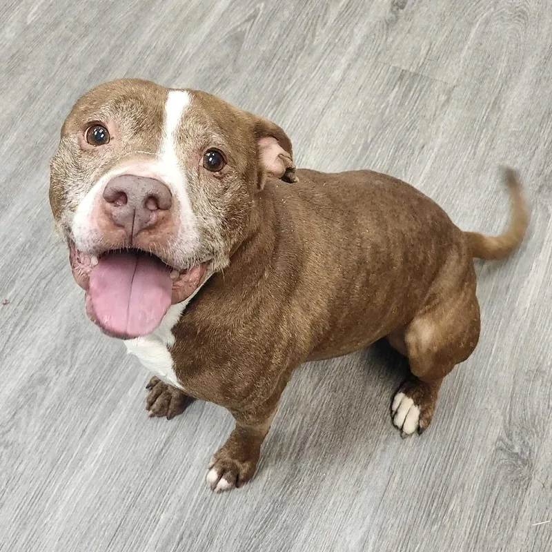 Theodore thumbnail 2