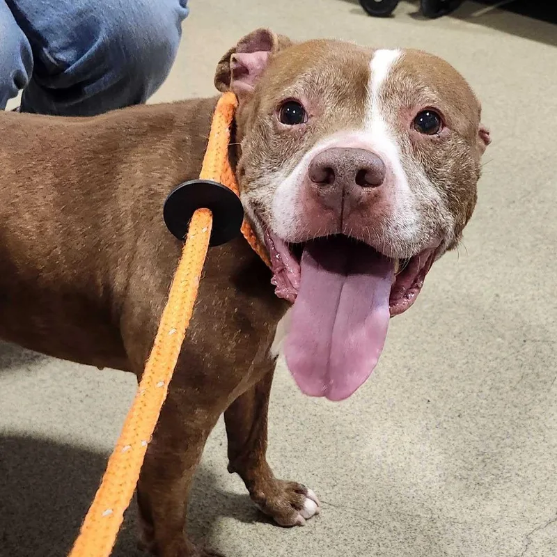 Theodore thumbnail 4