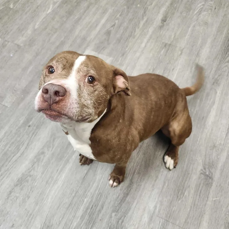 Theodore thumbnail 5