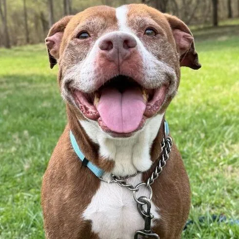 Theodore thumbnail 6