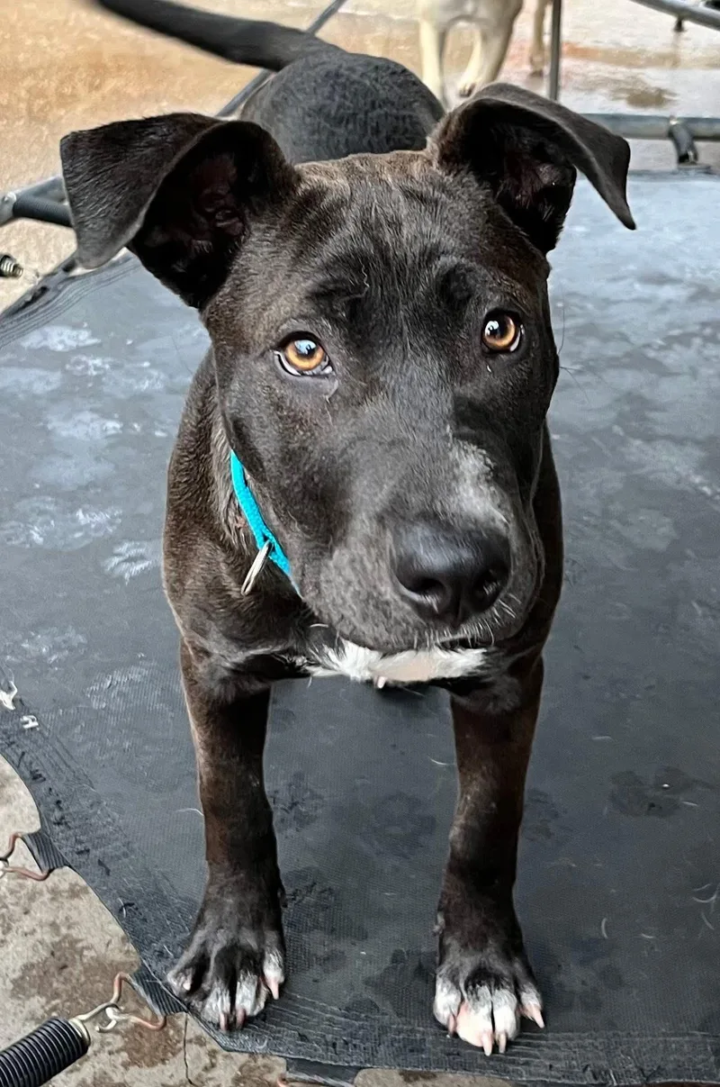 Raisin J thumbnail 3