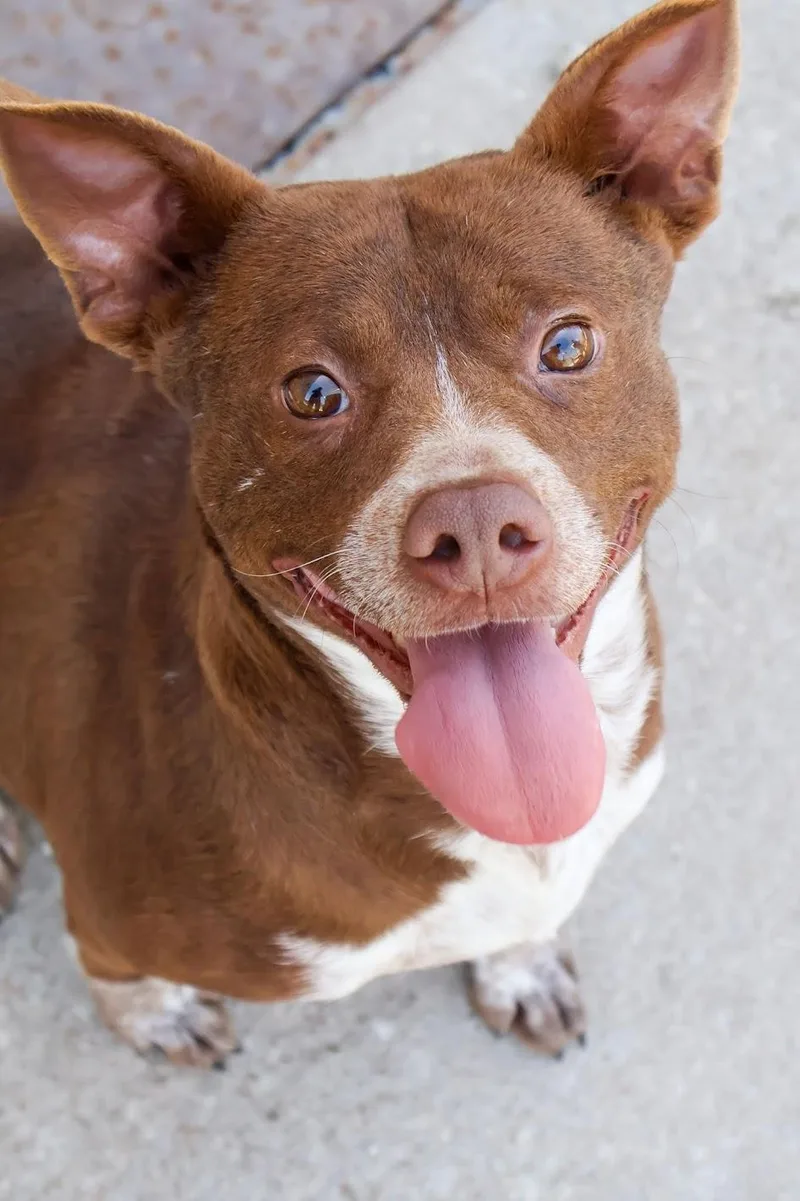 Mrs. Bennet thumbnail 2