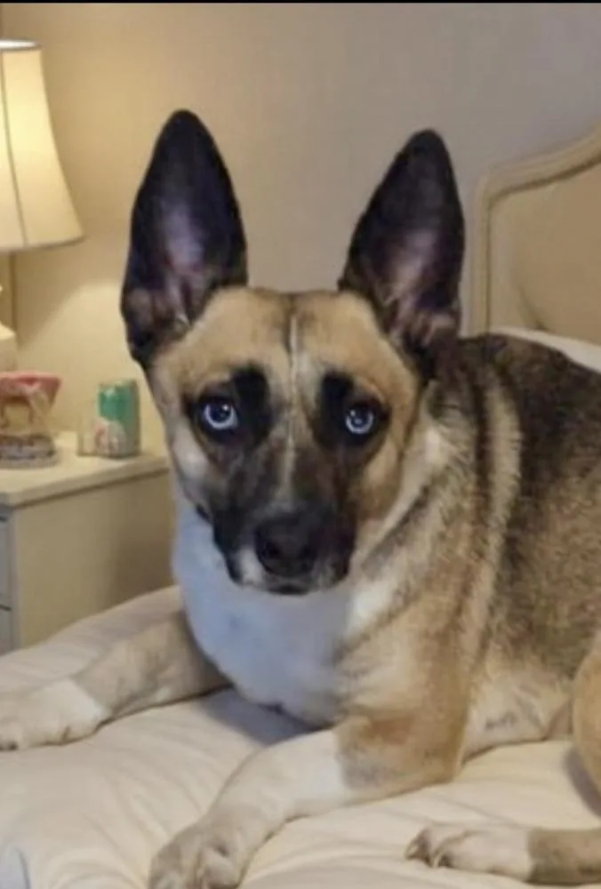 Henrietta Aka Henny thumbnail 2