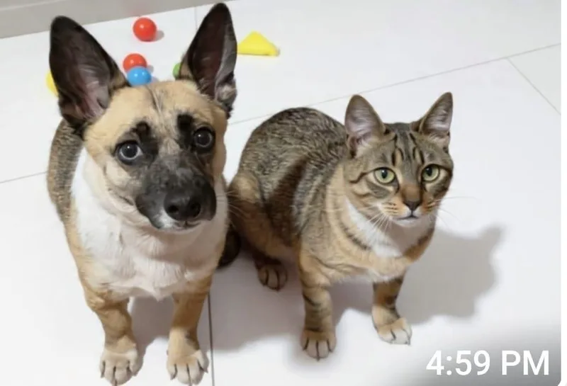 Henrietta Aka Henny thumbnail 3