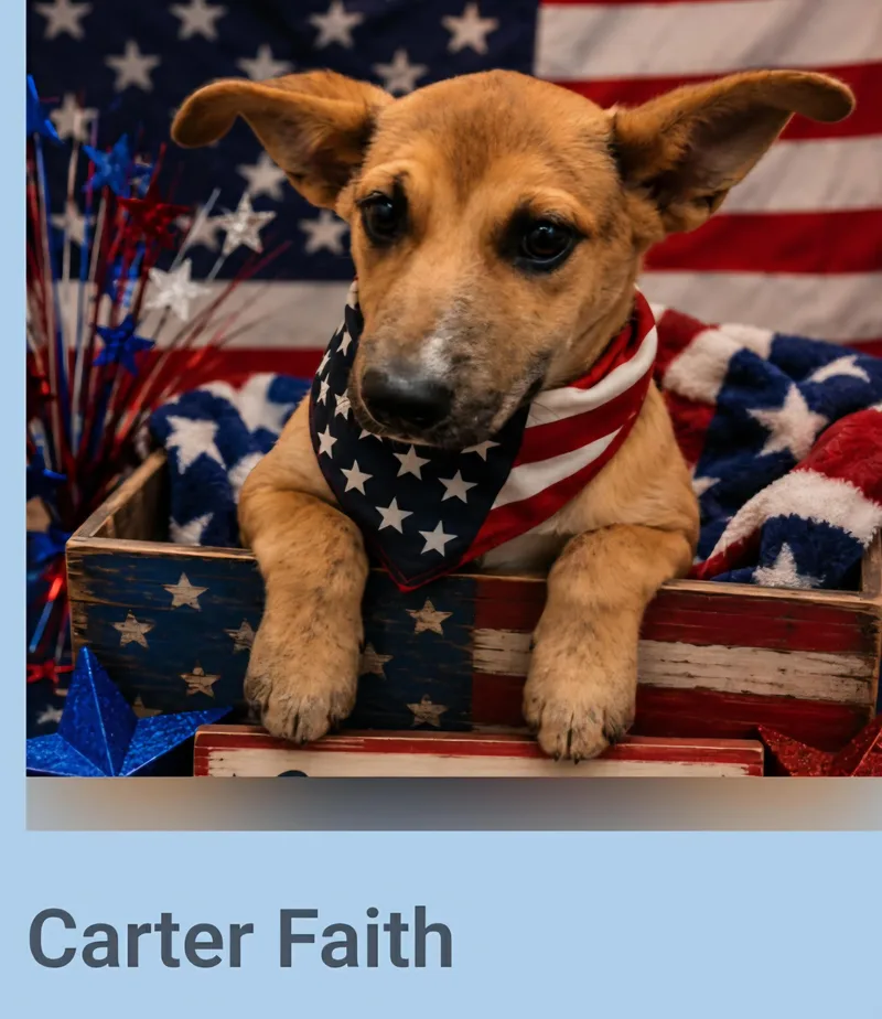 Carter Faith thumbnail 2