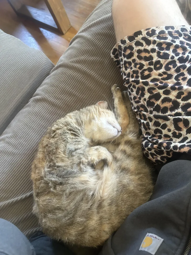 Mitzi thumbnail 2