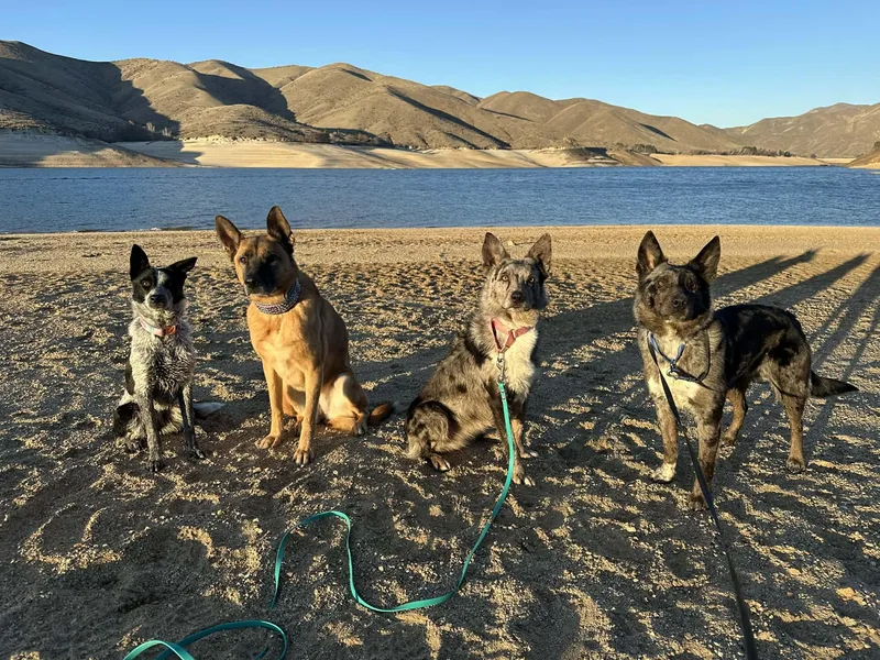 Scarlett thumbnail 5