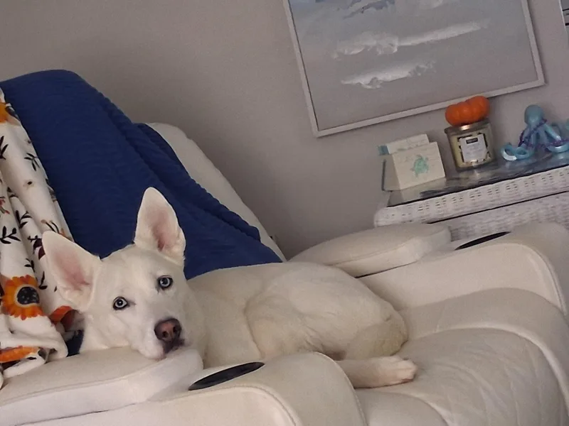 Bebe thumbnail 5